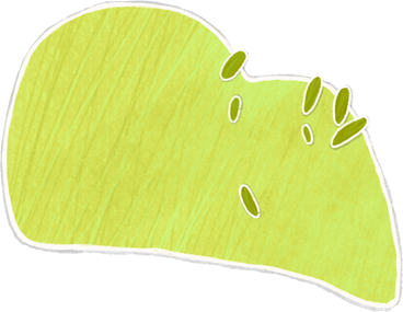 large lettuce bushes PNG, SVG