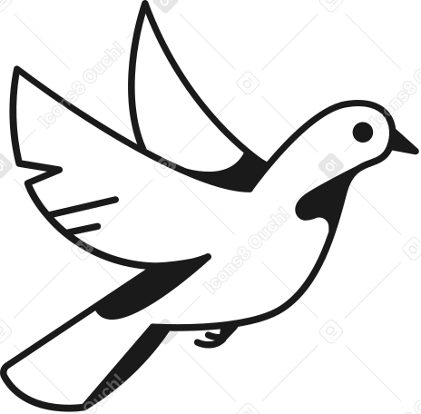 bird dove Illustration in PNG, SVG