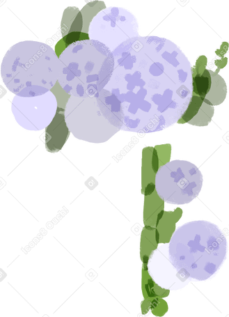 hydrangea в PNG, SVG