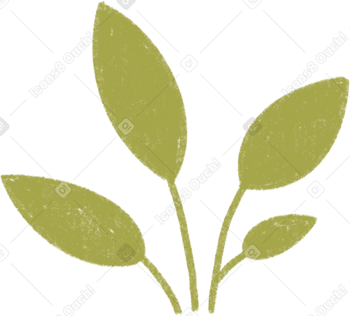 green plant Illustration in PNG, SVG