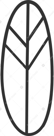 oval white leaf with black outline PNG, SVG