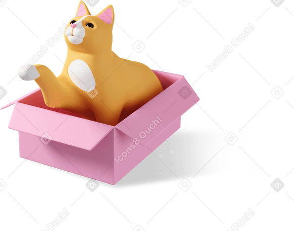 3D cat in box PNG, SVG