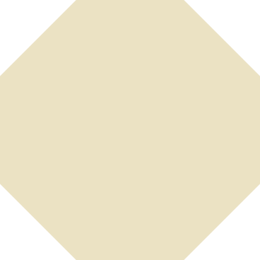 Beige octagon PNG, SVG
