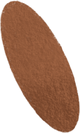 brown oval Illustration in PNG, SVG
