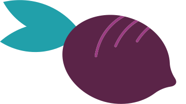 small burgundy beetroot PNG, SVG