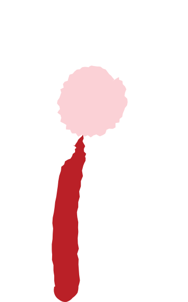 Fleur PNG, SVG