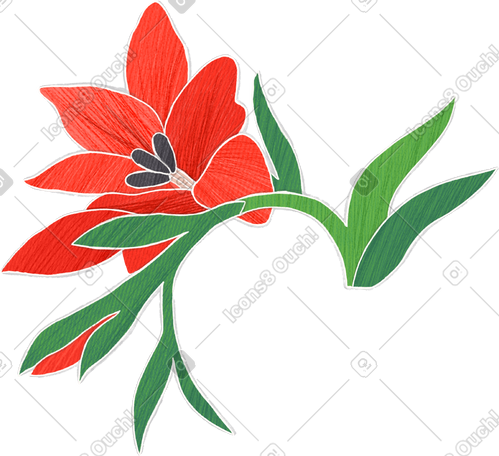 large branch of red gladiolus PNG, SVG