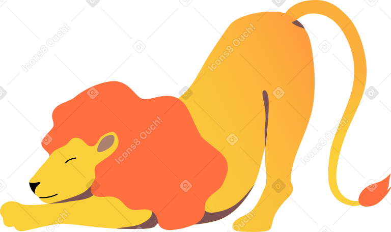 lion Illustration in PNG, SVG