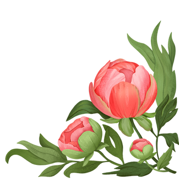 Сorner composition with three peonies PNG, SVG
