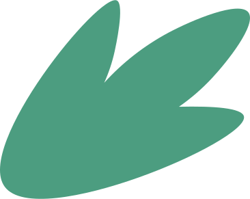 가문비나무 가지 PNG, SVG