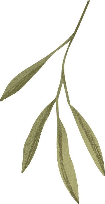 small green branch with leaves PNG, SVG