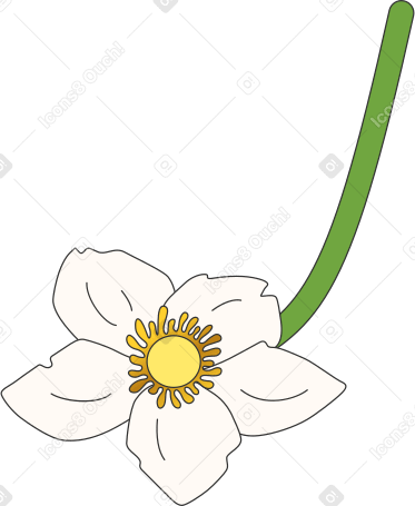 подснежник цветок анемоны в PNG, SVG