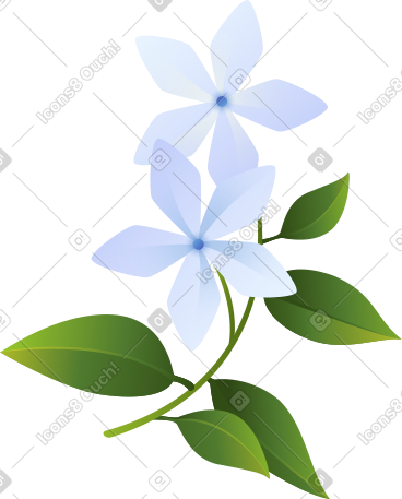 树枝上的白茉莉 PNG, SVG