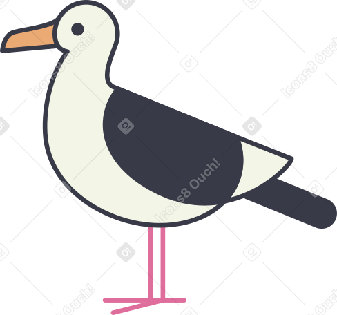 海鸥 PNG, SVG