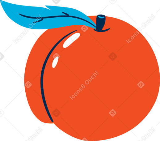 peach Illustration in PNG, SVG
