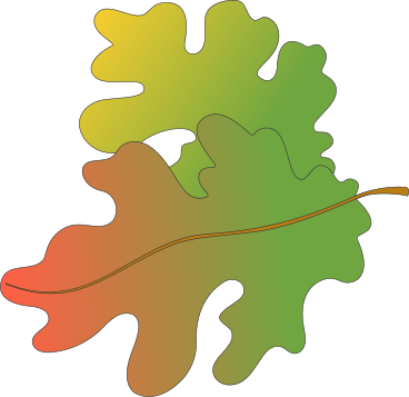 oak leaves PNG, SVG