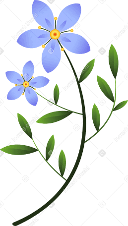 two small blue flowers on a twig with leaves PNG, SVG