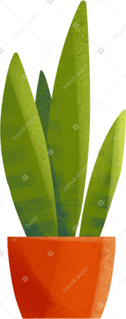 Planta sansevieria en maceta naranja PNG, SVG