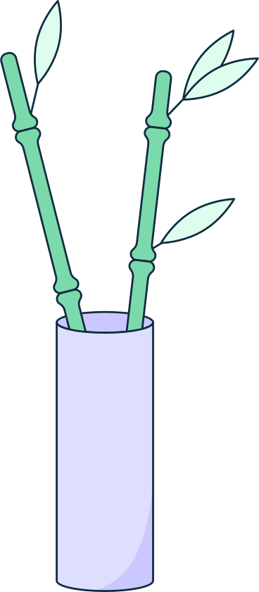 bamboo in vase PNG, SVG