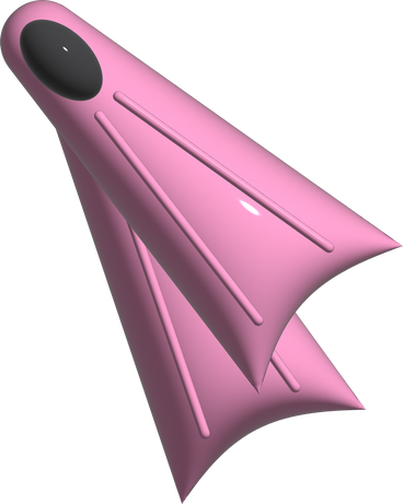pink flippers PNG, SVG