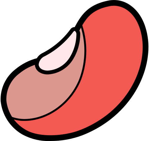 pea PNG, SVG