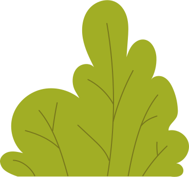 shrub PNG, SVG