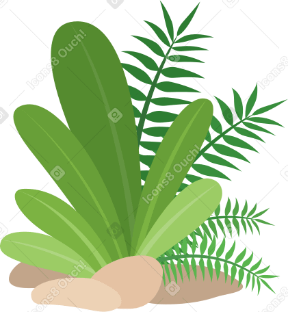 tropical plants Illustration in PNG, SVG