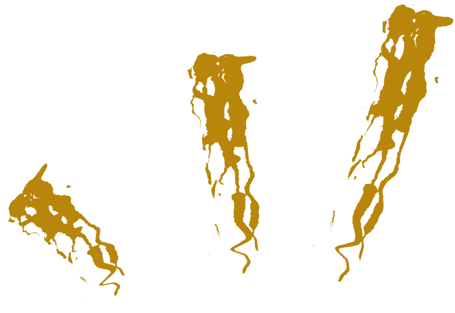 gold splash Illustration in PNG, SVG