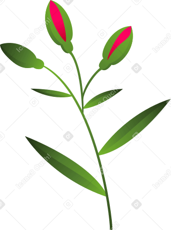 small twig with three rosebuds PNG, SVG