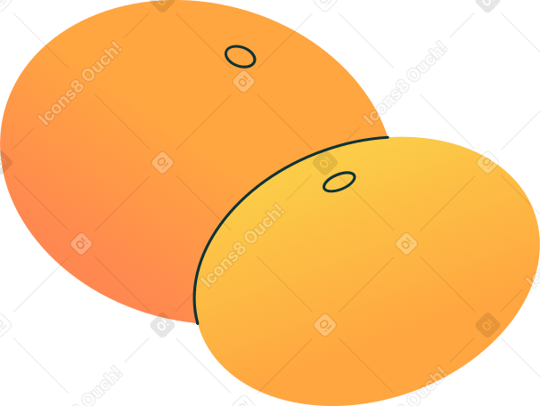 two mandarine oranges Illustration in PNG, SVG
