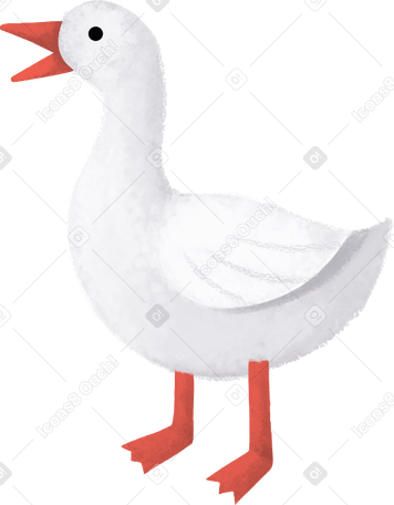 goose Illustration in PNG, SVG