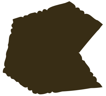 brown polygon PNG, SVG