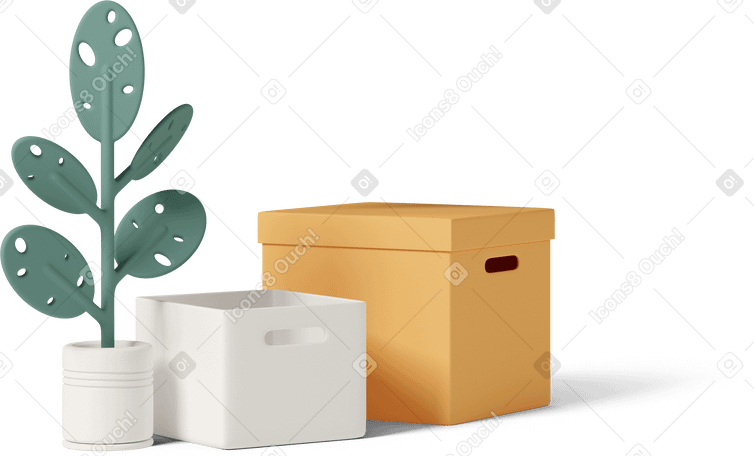 3D moving boxes with plant PNG, SVG