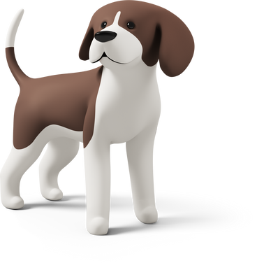 front view of a beagle dog PNG, SVG