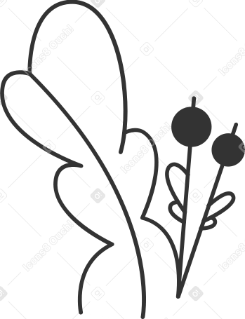 leaf with berries Illustration in PNG, SVG