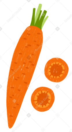 Carrot and carrot slices PNG, SVG