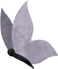 La farfalla PNG, SVG