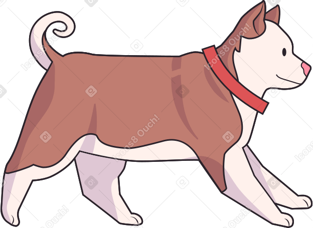 little husky puppy PNG, SVG