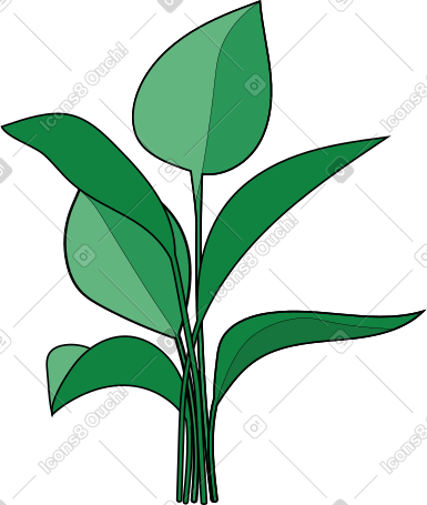 家庭植物 PNG, SVG