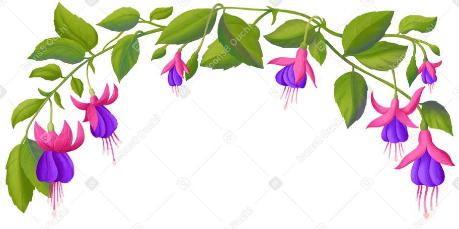 Fuchsia flowers on a branch arranged in a semicircle PNG, SVG
