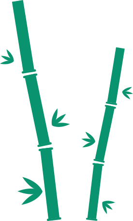 bamboo Illustration in PNG, SVG