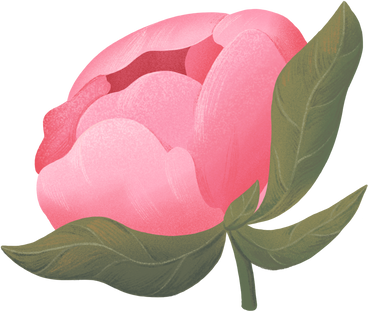 pink semi-closed peony with leaves PNG, SVG