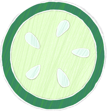 slice of zucchini PNG, SVG