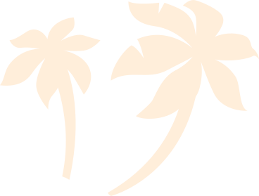 Palma de fundo PNG, SVG