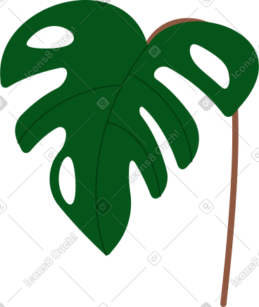 龟背竹植物 PNG, SVG