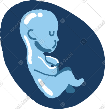 Baby on ultrasound PNG, SVG