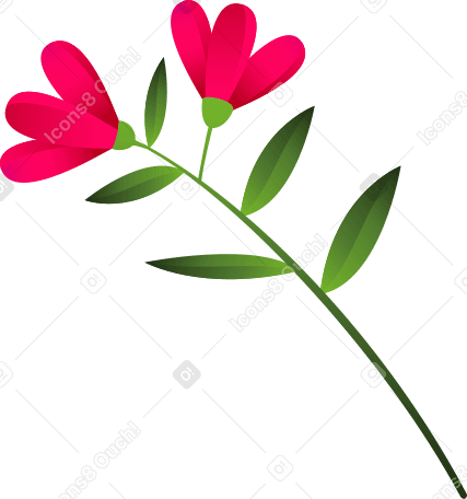 twig with two pink flowers PNG, SVG