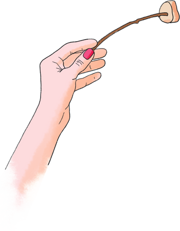 Left hand holds a marshmallow stick PNG、SVG