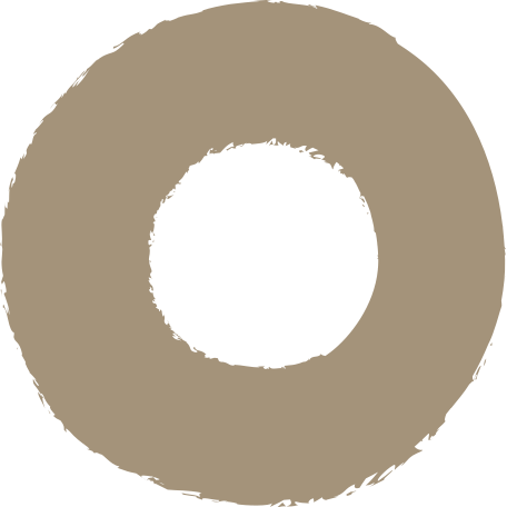 grey ring Illustration in PNG, SVG