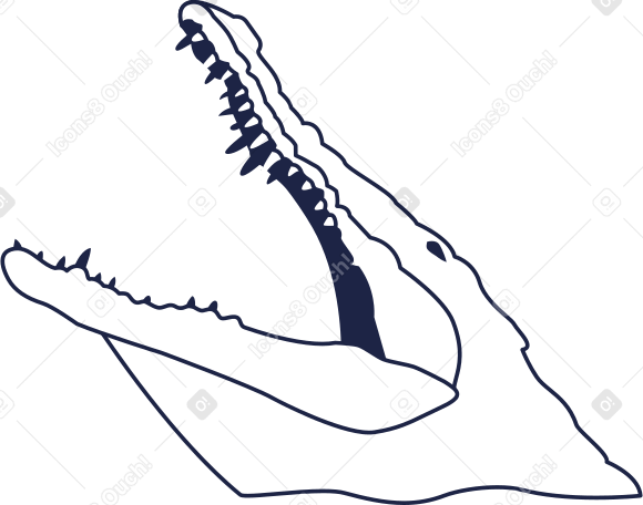 Анимированная иллюстрация crocodile line в GIF, Lottie (JSON), AE